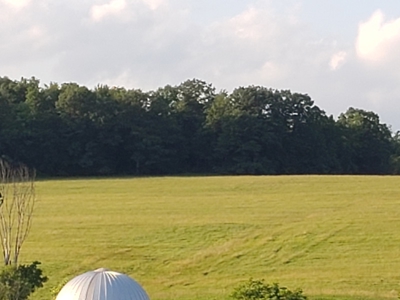 Productive Farm Land,Excellent  Deer  Hunting,Recreational - image 7