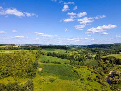 Productive Farm Land,Excellent  Deer  Hunting,Recreational - image 38