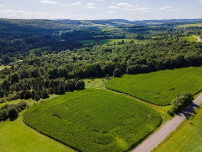 Productive Farm Land,Excellent  Deer  Hunting,Recreational - image 26