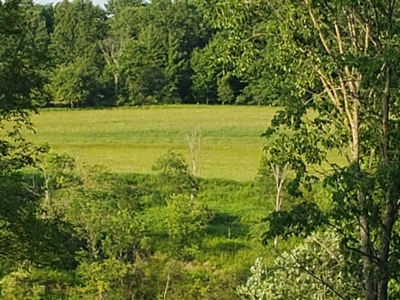 Productive Farm Land,Excellent  Deer  Hunting,Recreational - image 16