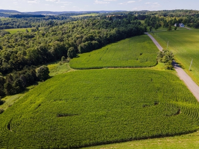 Productive Farm Land,Excellent  Deer  Hunting,Recreational - image 27