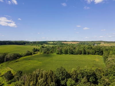 Productive Farm Land,Excellent  Deer  Hunting,Recreational - image 30