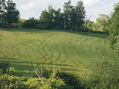 Productive Farm Land,Excellent  Deer  Hunting,Recreational - image 19