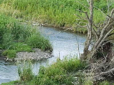Productive Farm Land,Excellent  Deer  Hunting,Recreational - image 21