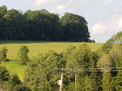 Productive Farm Land,Excellent  Deer  Hunting,Recreational - image 15