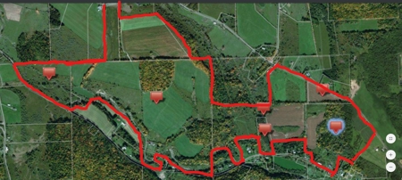 Productive Farm Land,Excellent  Deer  Hunting,Recreational - image 25