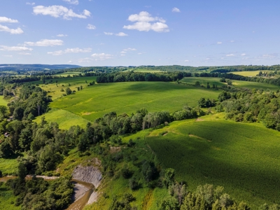 Productive Farm Land,Excellent  Deer  Hunting,Recreational - image 31