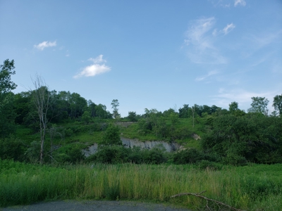 Productive Farm Land,Excellent  Deer  Hunting,Recreational - image 10
