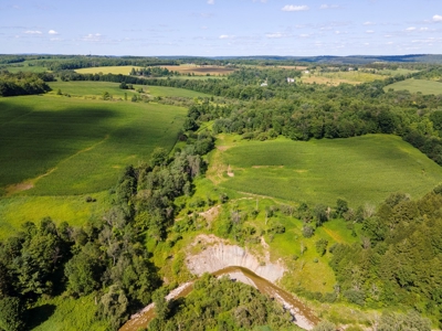 Productive Farm Land,Excellent  Deer  Hunting,Recreational - image 34
