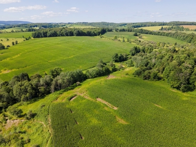 Productive Farm Land,Excellent  Deer  Hunting,Recreational - image 36