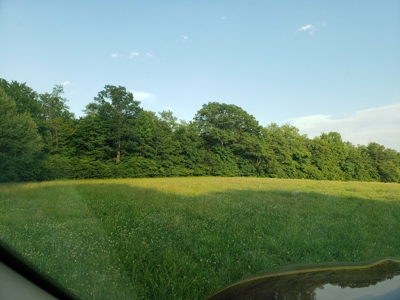 Productive Farm Land,Excellent  Deer  Hunting,Recreational - image 23