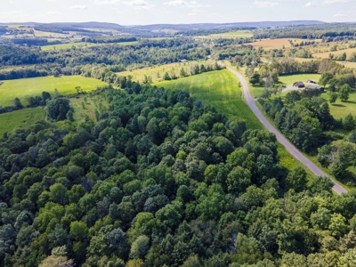 Productive Farm Land,Excellent  Deer  Hunting,Recreational - image 29