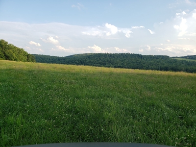 Productive Farm Land,Excellent  Deer  Hunting,Recreational - image 24