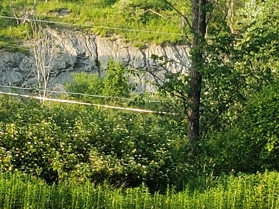 Productive Farm Land,Excellent  Deer  Hunting,Recreational - image 14