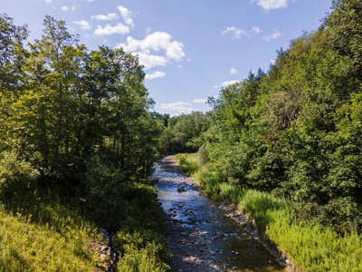 Productive Farm Land,Excellent  Deer  Hunting,Recreational - image 37