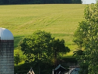 Productive Farm Land,Excellent  Deer  Hunting,Recreational - image 8