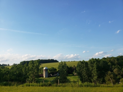 Productive Farm Land,Excellent  Deer  Hunting,Recreational - image 9