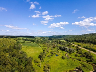 Productive Farm Land,Excellent  Deer  Hunting,Recreational - image 39