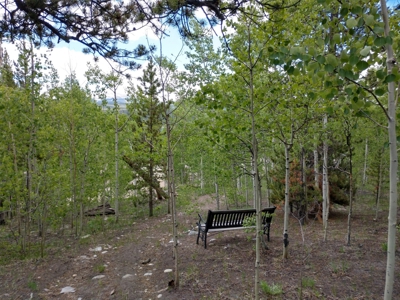 Mountain home w/huge views 30 min to Breckenridge, CO 80440 - image 30