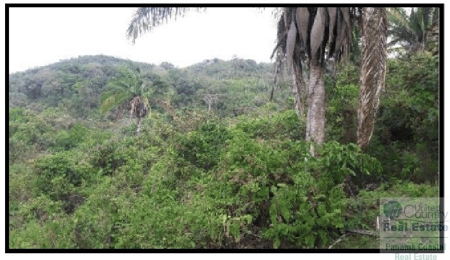 Farm For Sale In Llano Grande La Pintada Panama - image 9