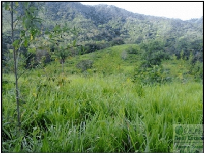 Farm For Sale Panama Near La Pintada - image 7