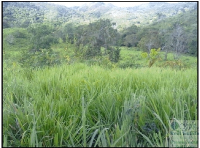 Farm For Sale Panama Near La Pintada - image 8