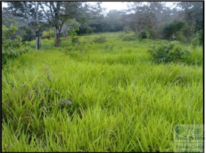 Farm For Sale Panama Near La Pintada - image 3
