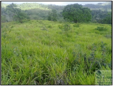 Farm For Sale Panama Near La Pintada - image 4