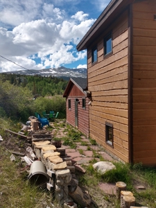 In town Alma mountain home 25 minutes to world class skiing! - image 14