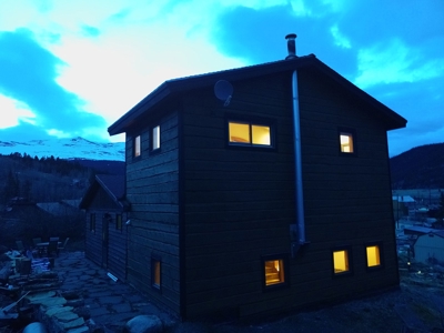 In town Alma mountain home 25 minutes to world class skiing! - image 25