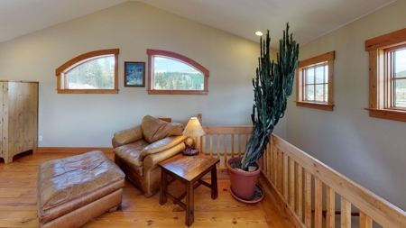 In town Alma mountain home 25 minutes to world class skiing! - image 9