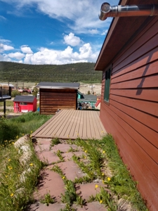 In town Alma mountain home 25 minutes to world class skiing! - image 20