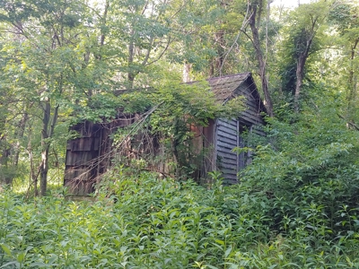 Large Family Home or B&B for Sale in Floyd VA - image 17