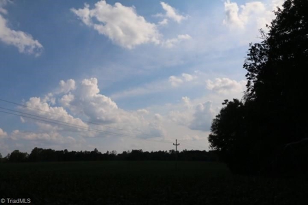 Dobson Land for sale - image 33