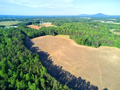 Dobson Land for sale - image 3