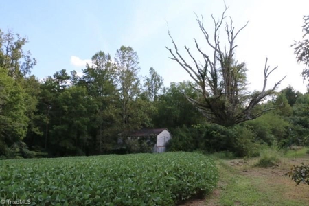Dobson Land for sale - image 17