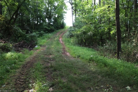 Dobson Land for sale - image 27