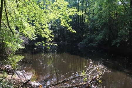 Dobson Land for sale - image 29