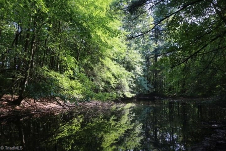 Dobson Land for sale - image 28