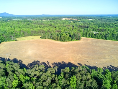 Dobson Land for sale - image 4