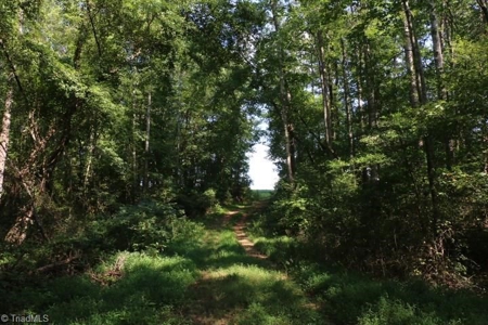 Dobson Land for sale - image 26