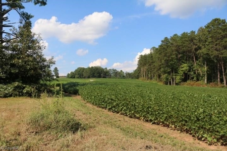 Dobson Land for sale - image 15