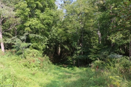 Dobson Land for sale - image 25