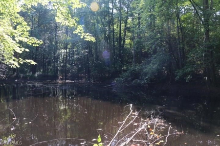 Dobson Land for sale - image 30
