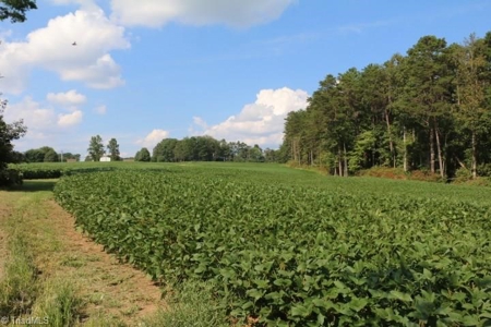 Dobson Land for sale - image 16