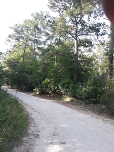 www,thebeachcountry.com - image 5