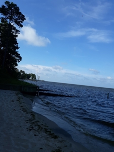 www,thebeachcountry.com - image 6