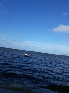 www,thebeachcountry.com - image 8