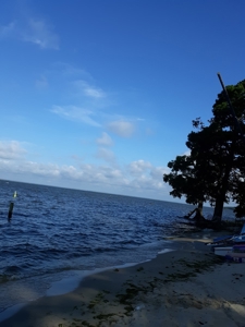 www,thebeachcountry.com - image 7