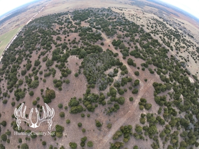 80 acres m/l. Woodward County Oklahoma HUNTING LAND for sale - image 3